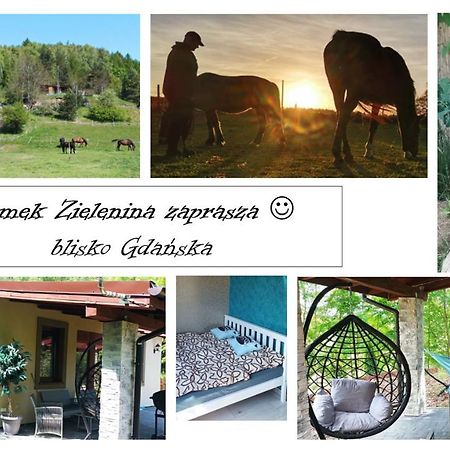 Domek Zielenina Mierzeszyn Екстериор снимка