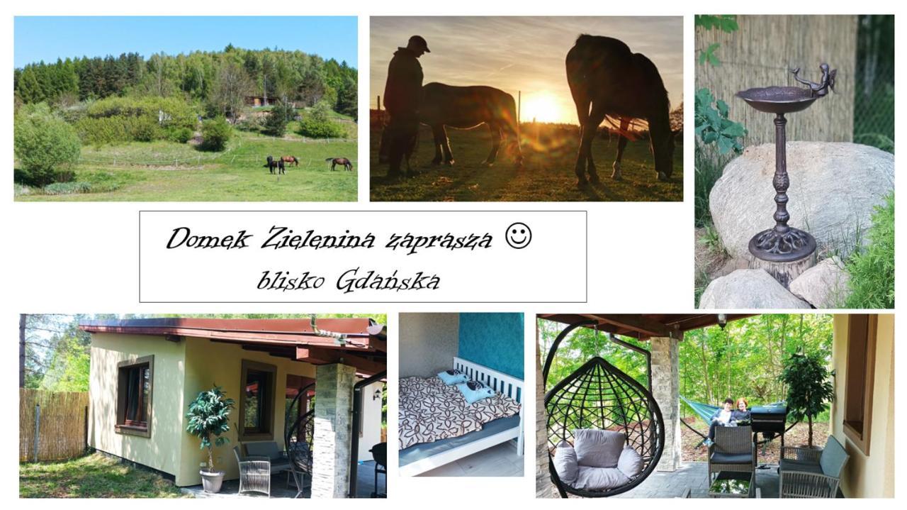 Domek Zielenina Mierzeszyn Екстериор снимка